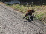 DSC01361.JPG