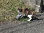 DSC01362.JPG