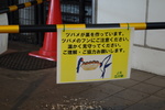 DSC02438.JPG
