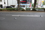 DSC02451.JPG