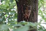 DSC04041.JPG