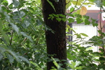 DSC04042.JPG
