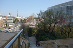 DSC04189.JPG
