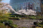 DSC04190.JPG