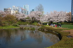 DSC04191.JPG
