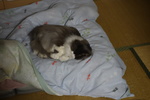 DSC04410.JPG