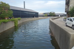 DSC06132.JPG