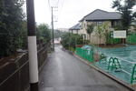 DSC06281.JPG