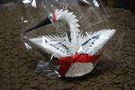 DSC07124.JPG