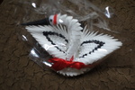 DSC07132.JPG