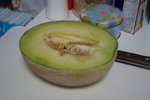 DSC07146.JPG