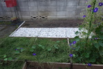 DSC08225.JPG