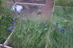 DSC08228.JPG