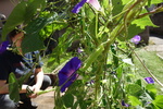 DSC08229.JPG