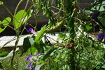 DSC08230.JPG