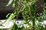 DSC08231.JPG