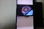 DSC09150.JPG